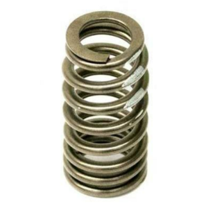 VALVES SPRINGS